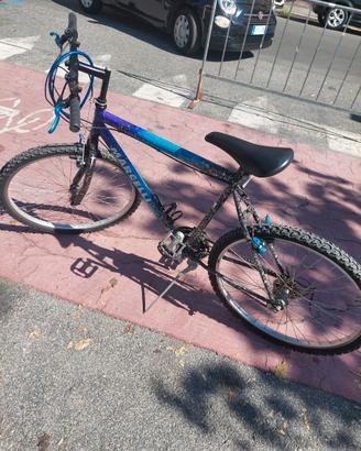 Bicicletta