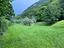 Immagine 16