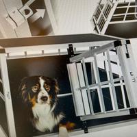Box trasporto cani per auto