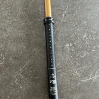 Regisella Fox kashima