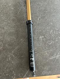 Regisella Fox kashima