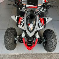 Quad lem kondor 110