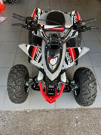 Quad lem kondor 110