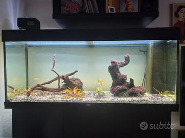 Acquario Juwel Rio 180 originale completo
