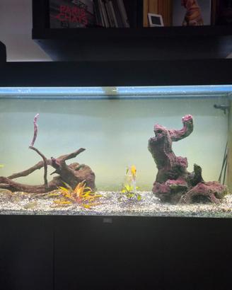 Acquario Juwel Rio 180 originale completo