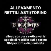 Rettili torino
