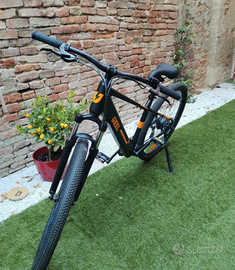 Bici elettrica Ueel Rockblazer Premium