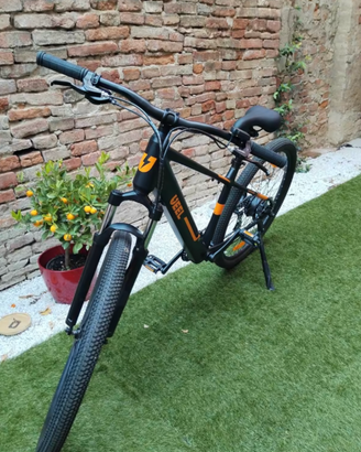 Bici elettrica Ueel Rockblazer Premium