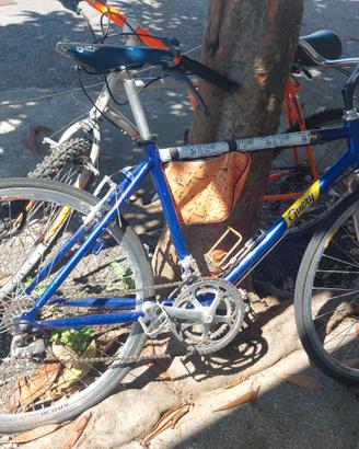 Bicicletta