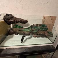 Rettili vari Terrari/teche/rack e attrezzatura