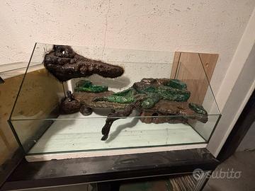 Rettili vari Terrari/teche/rack e attrezzatura