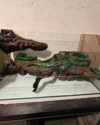 Rettili vari Terrari/teche/rack e attrezzatura