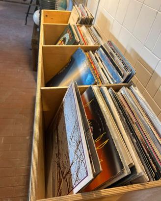 Lotto dischi in vinile mix e LP (900pezzi)