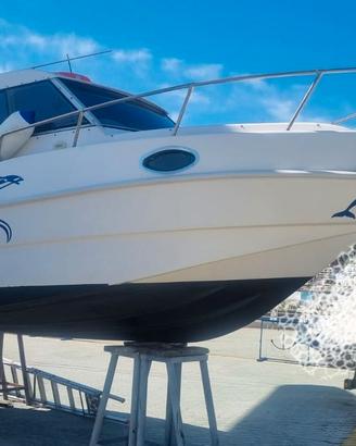 Saver Manta 21 Fisher + 150hp Mercury+ 9.9Mercury