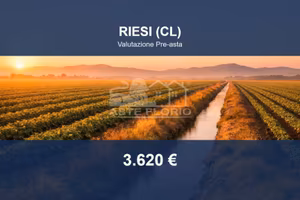 Immobile in asta di 23130 m² a Riesi