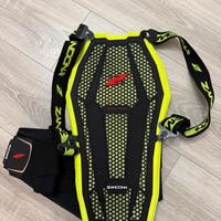 Paraschiena Zandonà Esatech Back Pro x6 tg L