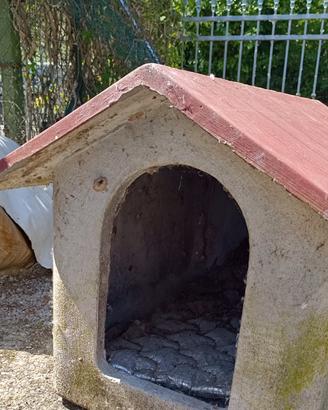 casetta x cani