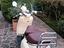 Immagine 5