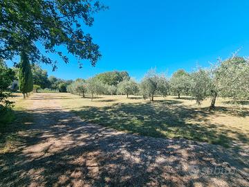 Terreno agricolo Civitella in Val di Chiana