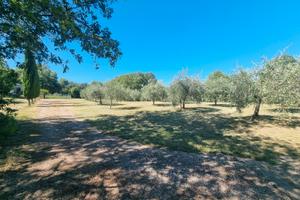 Terreno agricolo Civitella in Val di Chiana