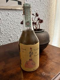 Grappa Levi