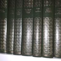 Collane di enciclopedia e narrativa classica.