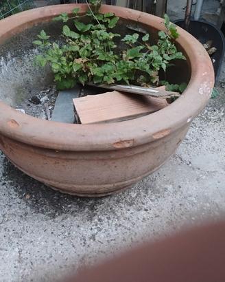 vaso tondo grande