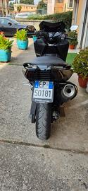 tmax 530 anno 2019