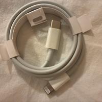 Apple cavo e auricolari originali