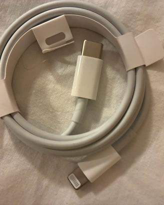 Apple cavo e auricolari originali