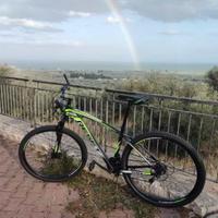 Bici MTB 29”
