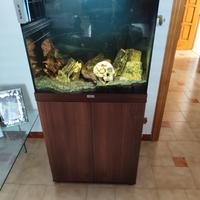 acquario juwel lido 120 completo 