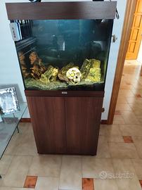 acquario juwel lido 120 completo 