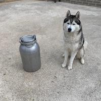 Bidone del latte antico Guinzi Rossi da 30-40 L