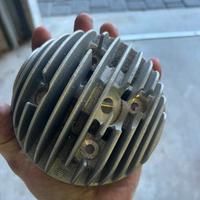 Testa parmakit d56 Sp09 ecv