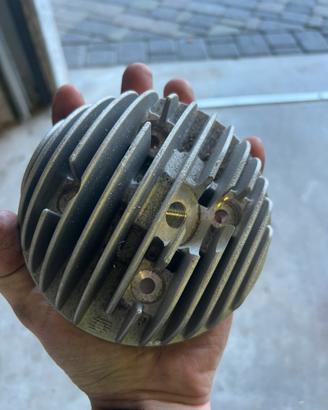 Testa parmakit d56 Sp09 ecv