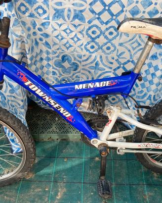 Mountain bike Townsend
