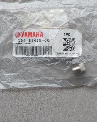 Magnete e-bike motore Yamaha