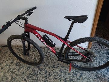 Mtb iron pro carbonio