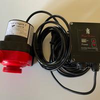 Royal Exclusiv Red Dragon 3