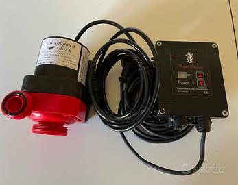 Royal Exclusiv Red Dragon 3