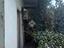 Immagine 11