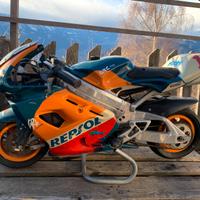 minimoto grc moto racing