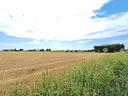 terreno-agricolo-ad-arqua-polesine