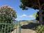 Immagine 29