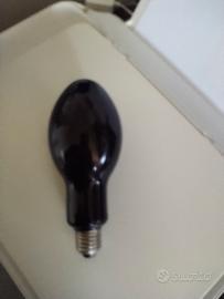 lampada UV