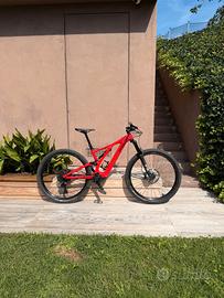 e-bike 