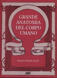 Libro Grande anatomia del corpo umano
