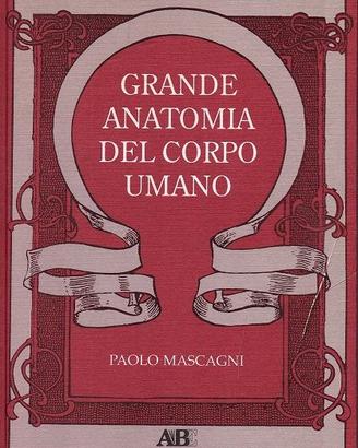 Libro Grande anatomia del corpo umano
