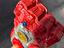 Immagine 4